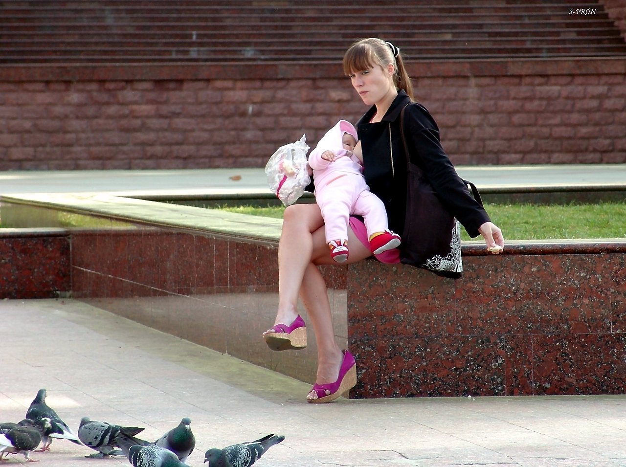 1280x955, 232 Kb / голуби, младенец, мать