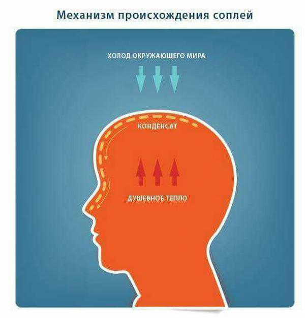 600x626, 28 Kb / сопли, механизм, схема