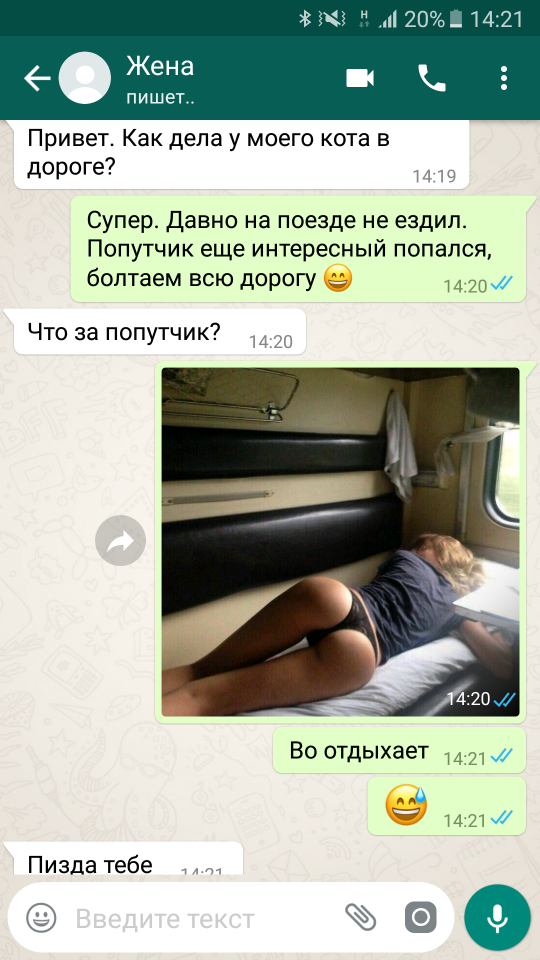 540x960, 400 Kb / поезд, попутчик, попа, whatsapp