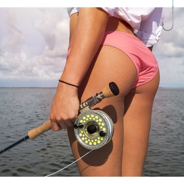 604x604, 59 Kb / удочка, спининг, попа