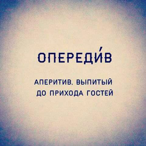 480x480, 30 Kb / Аперитив, гости