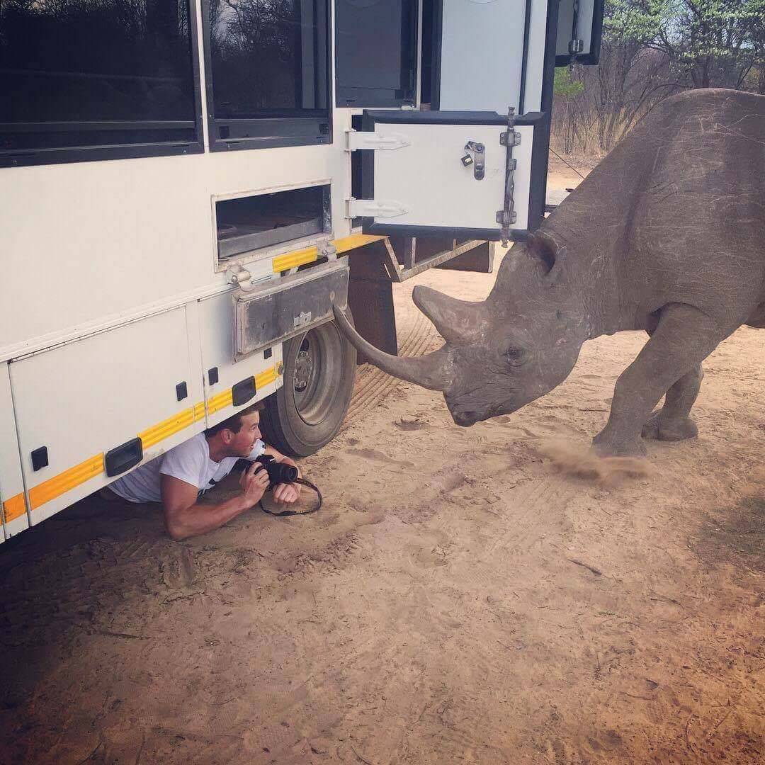 1080x1080, 144 Kb / носорог, фотограф, автобус