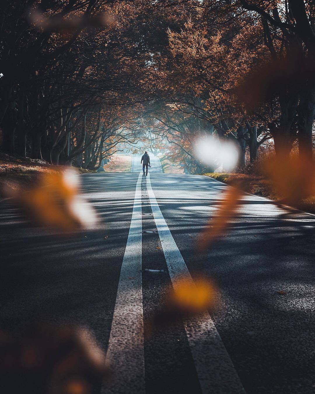 1080x1350, 251 Kb / дорога, осень, разделительная