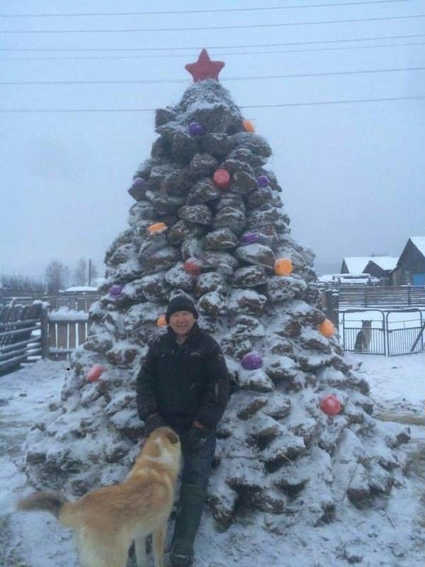 600x800, 58 Kb / новый год, ёлка, говно, боппосов?