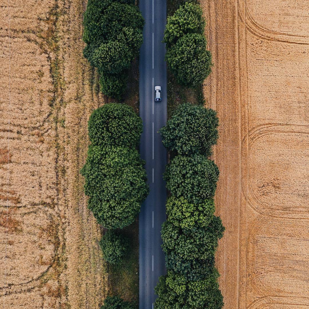 1080x1078, 391 Kb / поле, деревья, дорога, авто, сверху