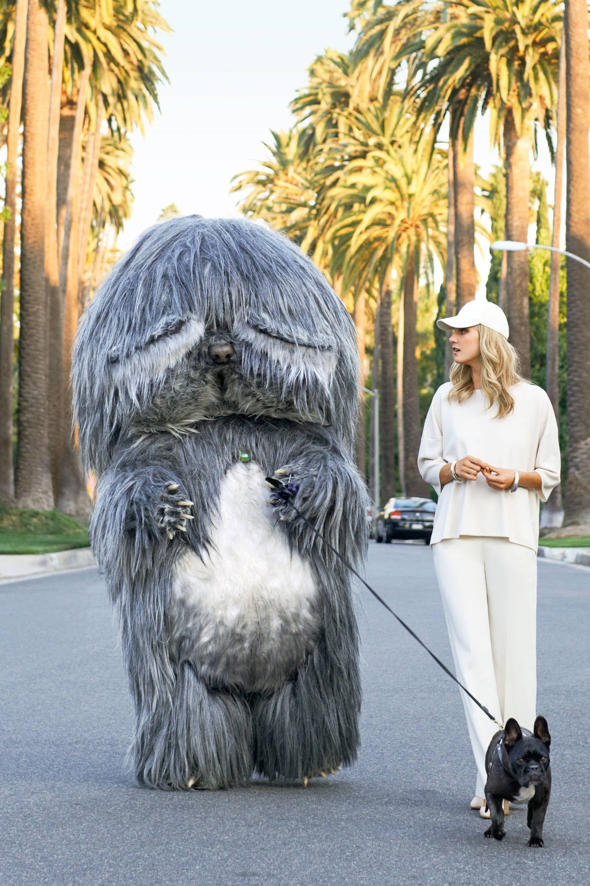 1200x1800, 373 Kb / пальмы, собака, блондинка, неведомое