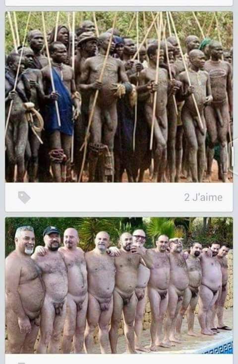 480x732, 57 Kb / мужчины, негры, белые, разница