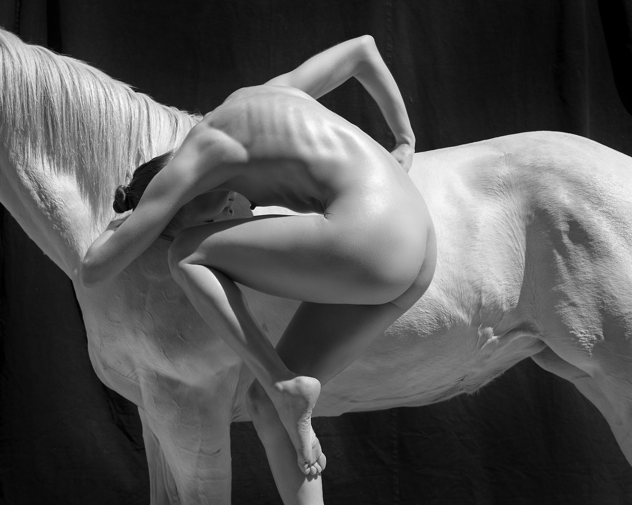 1280x1024, 247 Kb / лошадь, голая, ч/б