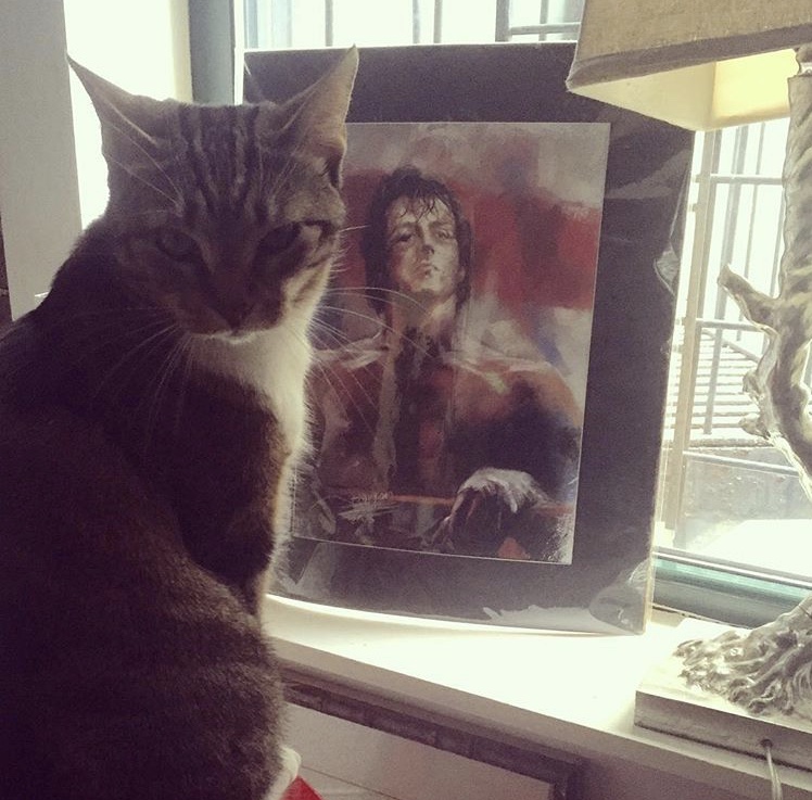 748x737, 175 Kb / окно, кот, сталлоне, рокки