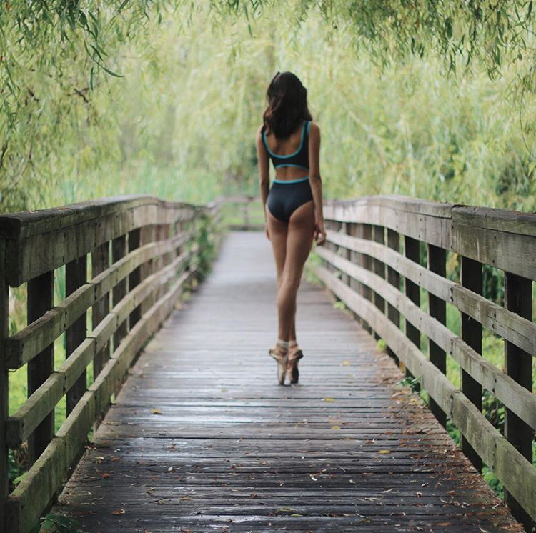 750x746, 508 Kb / пуанты, мост, доски