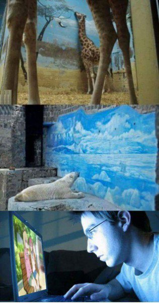 316x600, 50 Kb / аниме, животные, экран