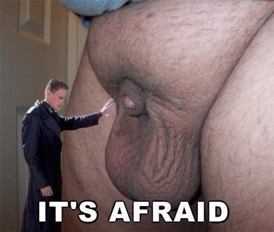 392x332, 25 Kb / звездный десант, яйца