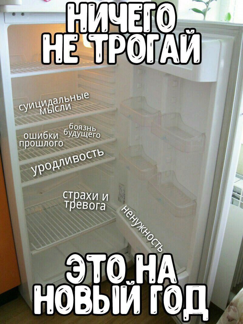 800x1067, 143 Kb / новый год, холодильник, запасы