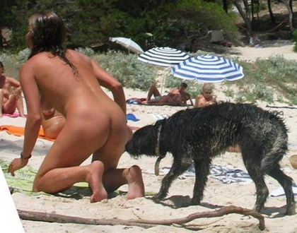 420x330, 53 Kb / жопа, собака