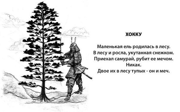599x372, 33 Kb / хокку, ель, самурай, тупой