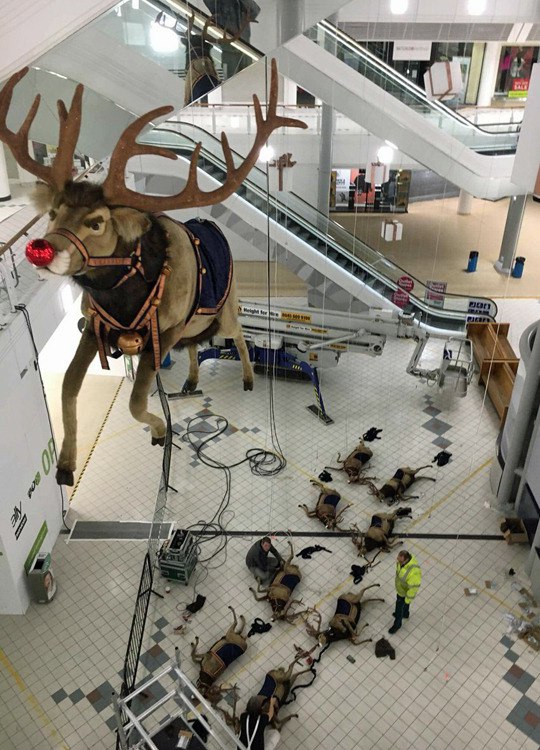 540x750, 125 Kb / олень, олени, нех