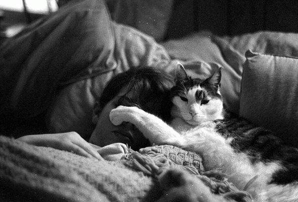 600x407, 46 Kb / кот, глаза