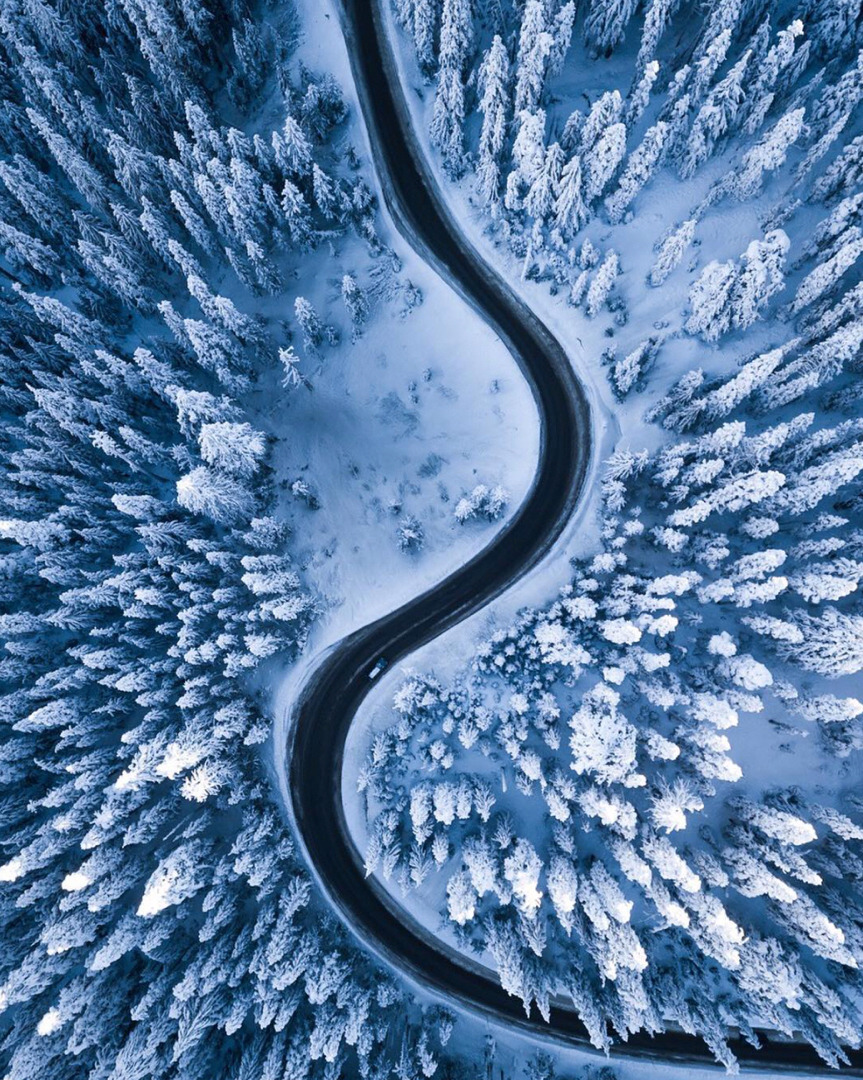 863x1080, 456 Kb / зима, дорога, лес