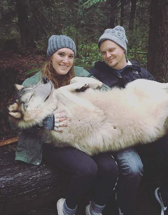 563x720, 51 Kb / собака, лес, дерево , бревно, на руках, сидят