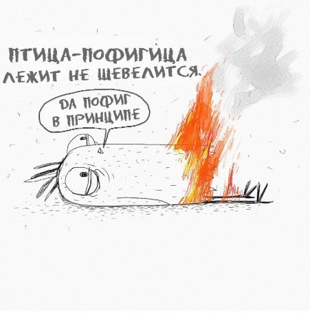 451x455, 40 Kb / птица, пофигица, огонь