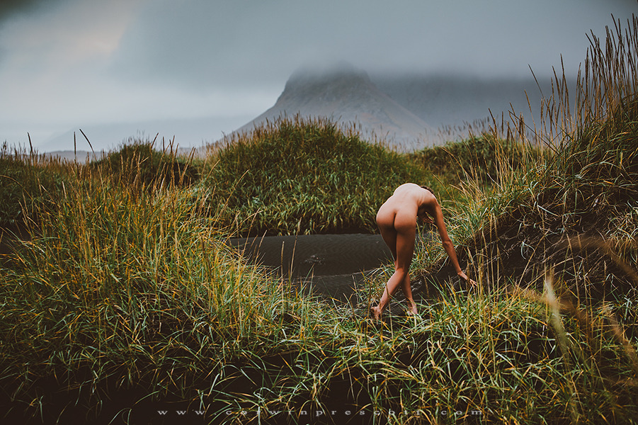 901x600, 326 Kb / гора, туман, голая, трава, заросли