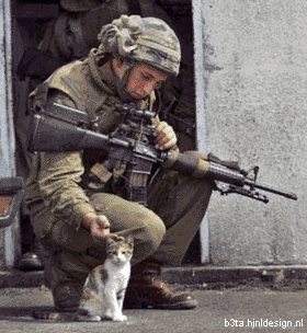 280x304, 225 Kb / котёнок, взрыв