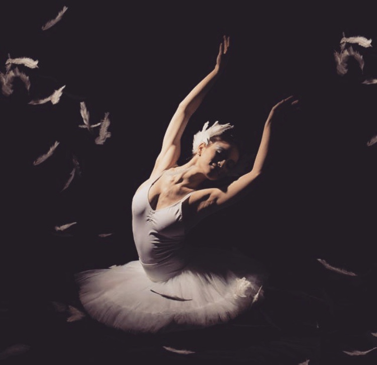 750x726, 63 Kb / балерина, пачка, лебедь, чёрное, перья