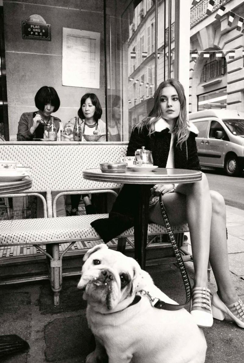 800x1187, 164 Kb / собака, ноги, кафе, ч/б