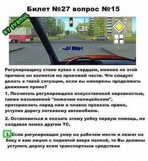 485x528, 58 Kb / Билет ПДД