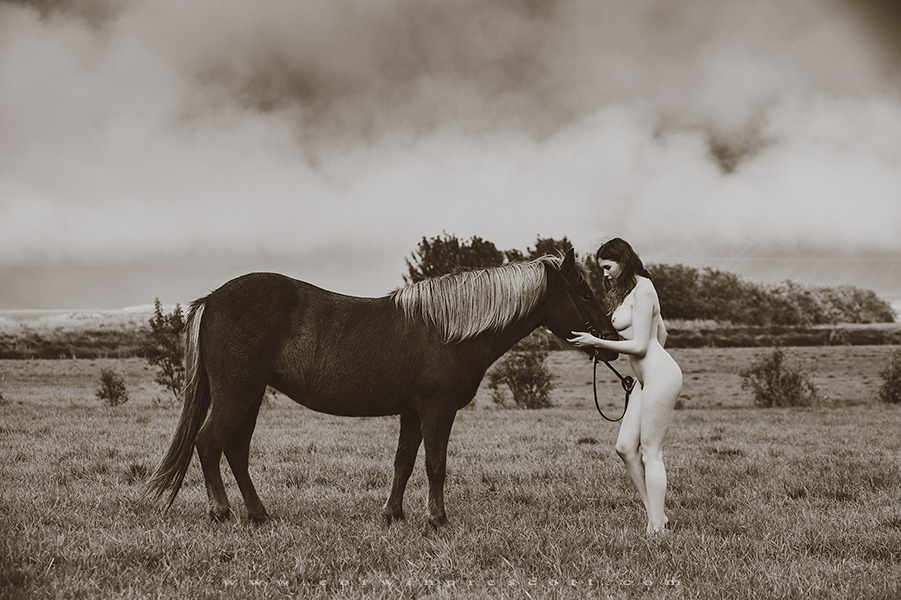 901x600, 160 Kb / лошадь, голая, ч/б, девушка