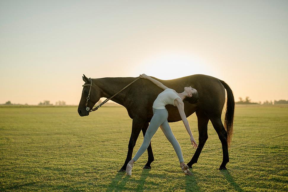 972x648, 83 Kb / лошадь, трава, балерина, пуанты