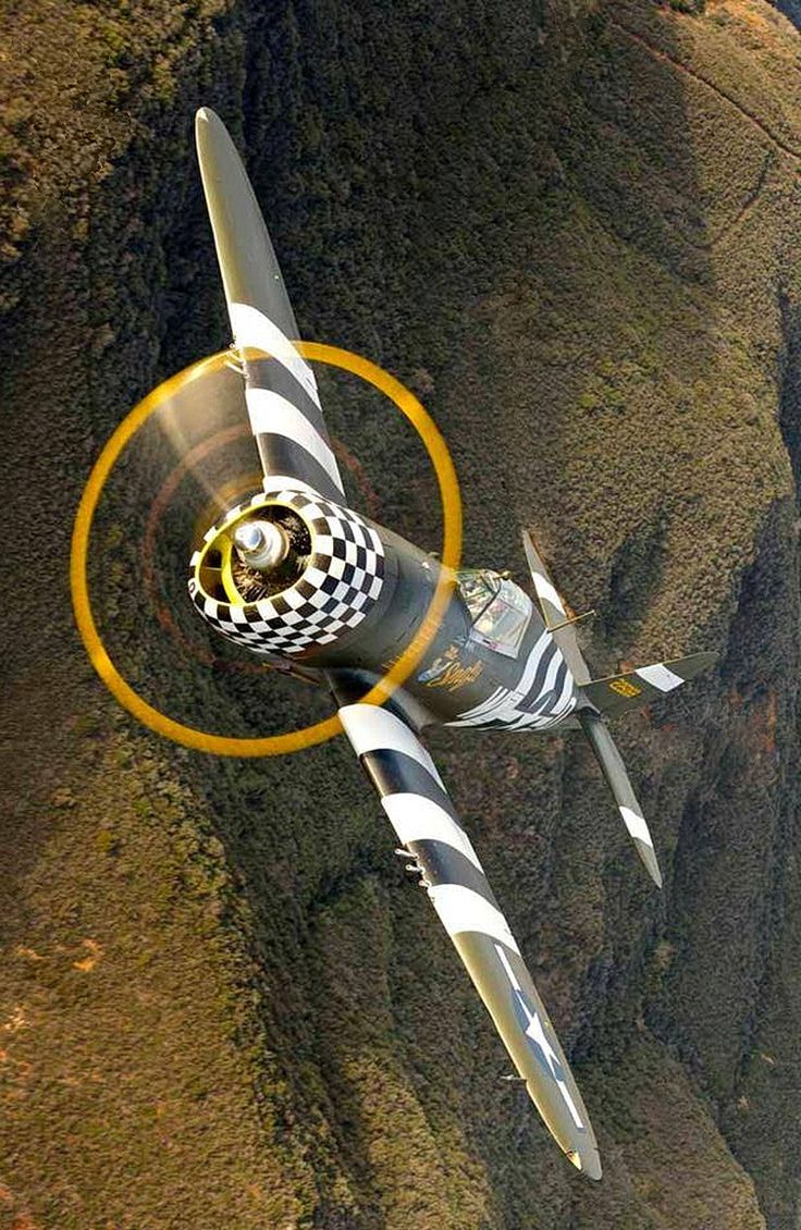 736x1130, 195 Kb / самолёт, винт, расцветка