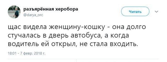 639x239, 25 Kb / женщина, кошка, автобус, водитель, женщина-кошка