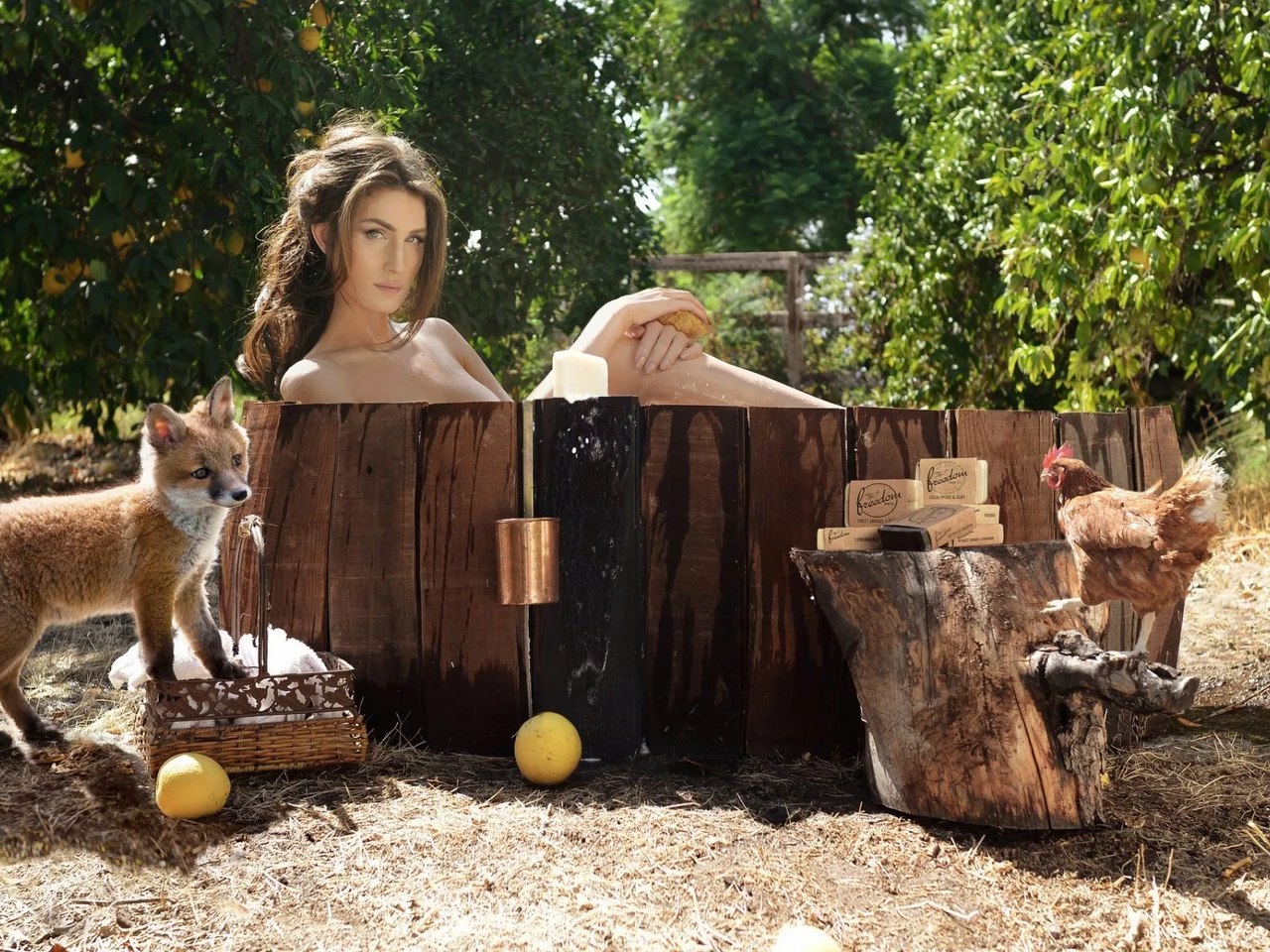 1280x960, 374 Kb / кадка, ванна, лимоны, курица, лисенок, мыло