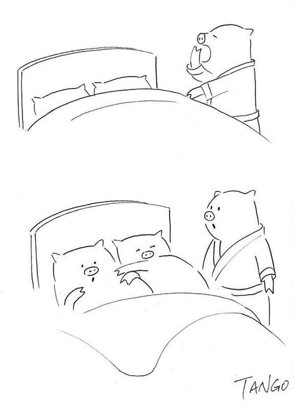 589x807, 23 Kb / Подушки, одеяло, кровать, хрюшки, свинья