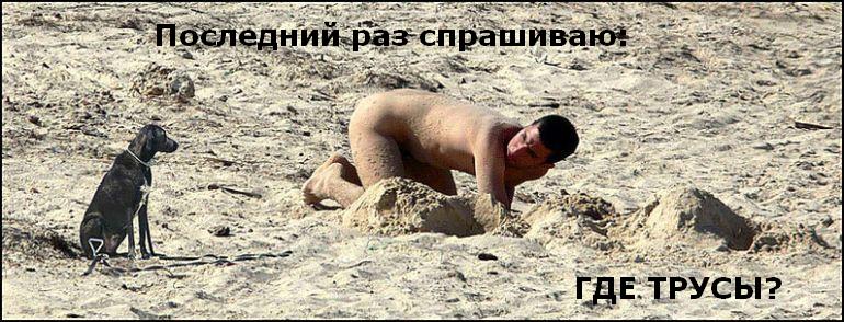 770x294, 84 Kb / трусы, пляж, собака