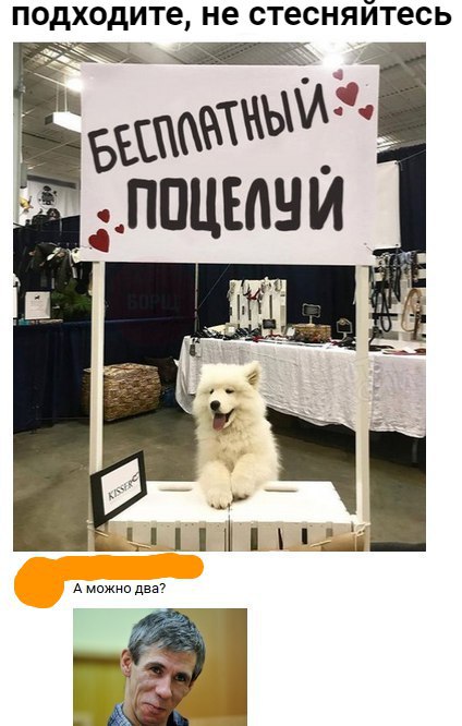 424x666, 61 Kb / панин, собака, поцелуй