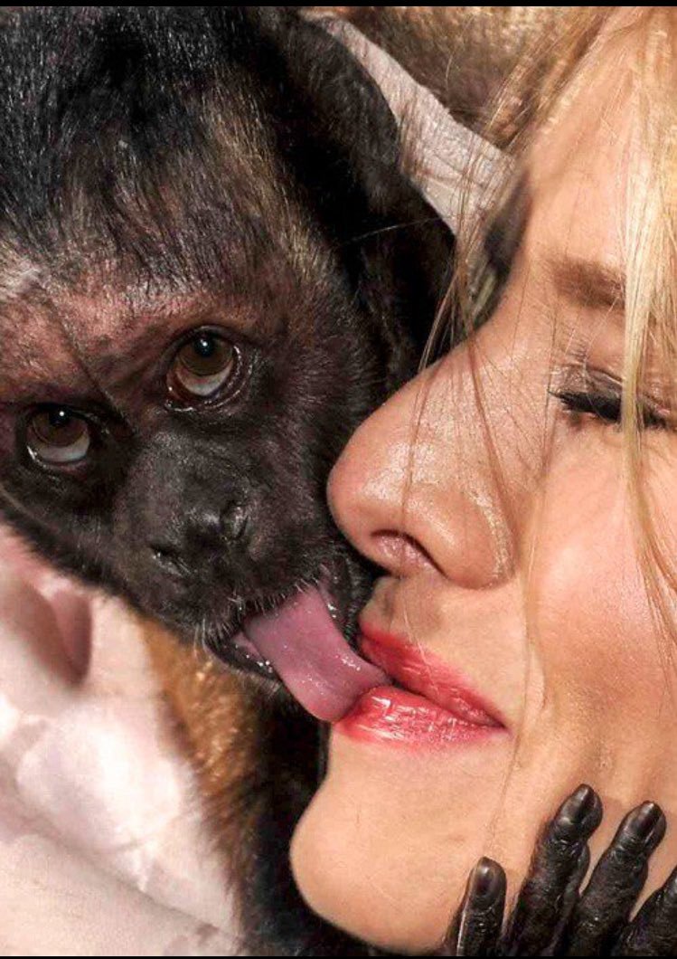 749x1060, 146 Kb / женщина, язык, обезьяна