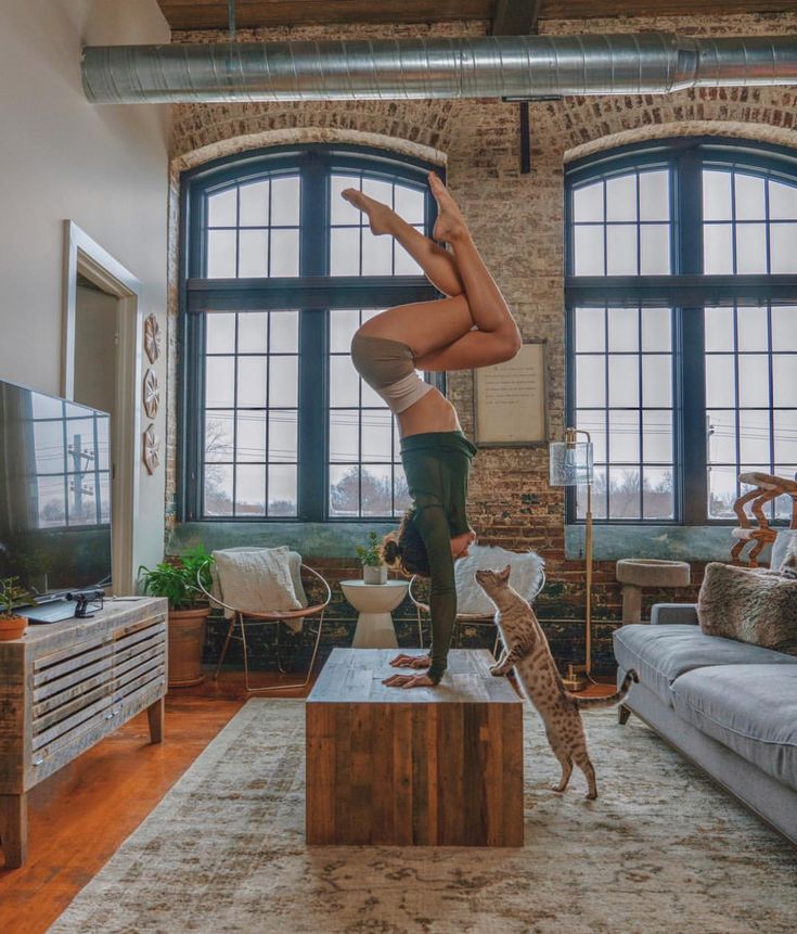 735x861, 130 Kb / йога, стойка, кот, окно, телевизор, диван