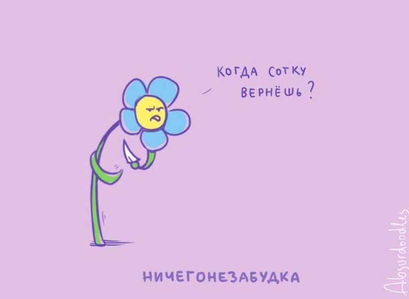 807x590, 11 Kb / Цветок, незабудка