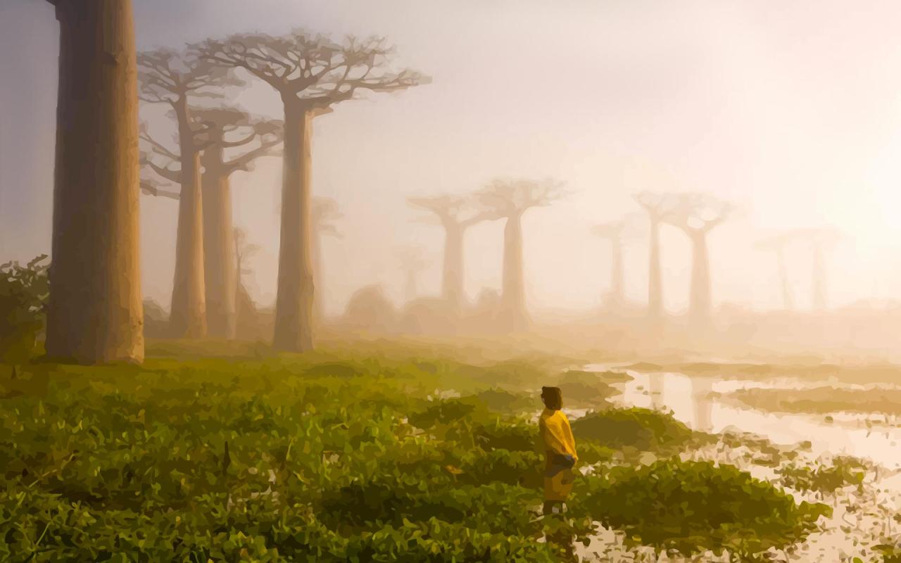 1280x800, 73 Kb / рисунок, пейзаж, баобабы, болото