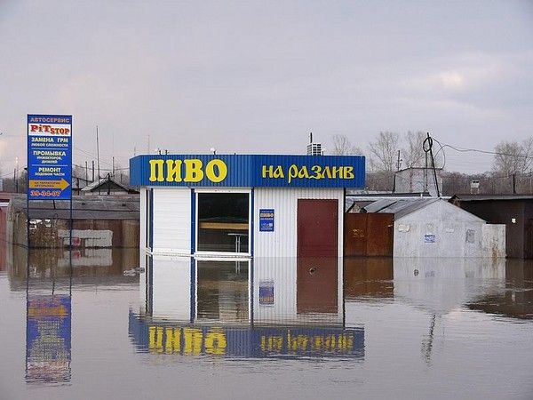 600x450, 47 Kb / пиво, разлив