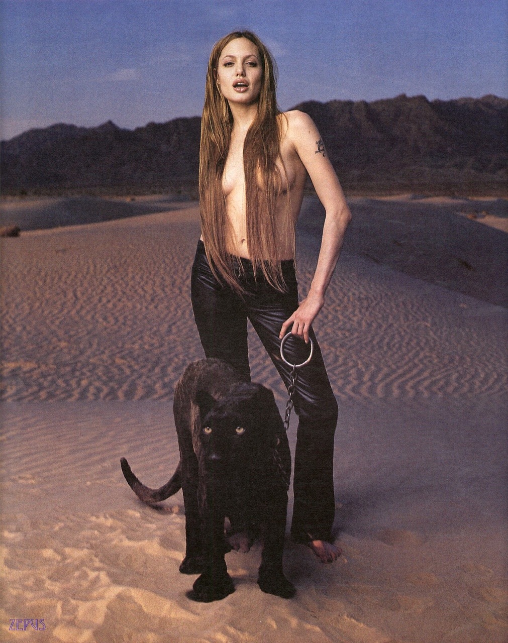 1011x1280, 378 Kb / джоли, пума