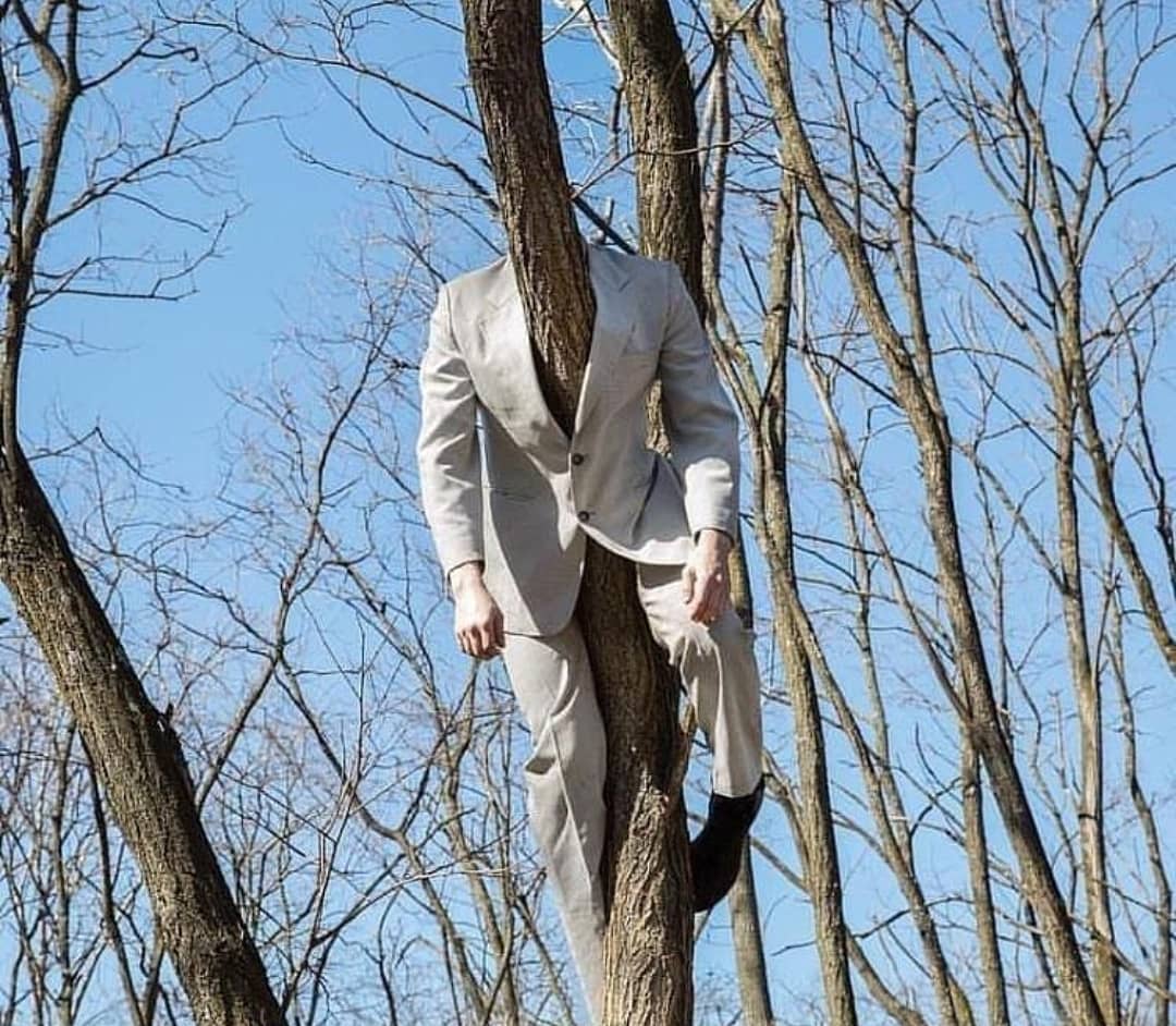 1080x942, 159 Kb / дерево, мужчина, костюм, небо