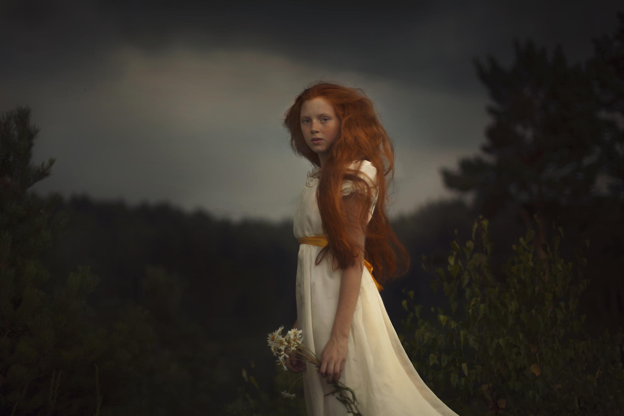 2048x1365, 119 Kb / рыжая, ромашки, деревья, небо