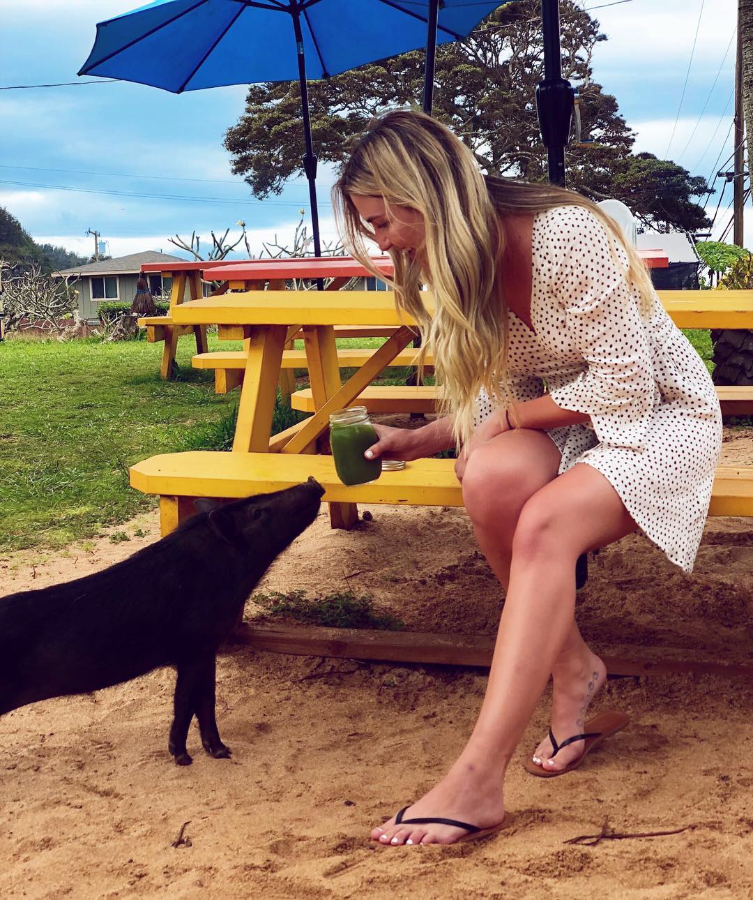 1080x1290, 256 Kb / Поросёнок, свинья, скамейка, девушка, зонт, банка, платье, белое, горошек, тату