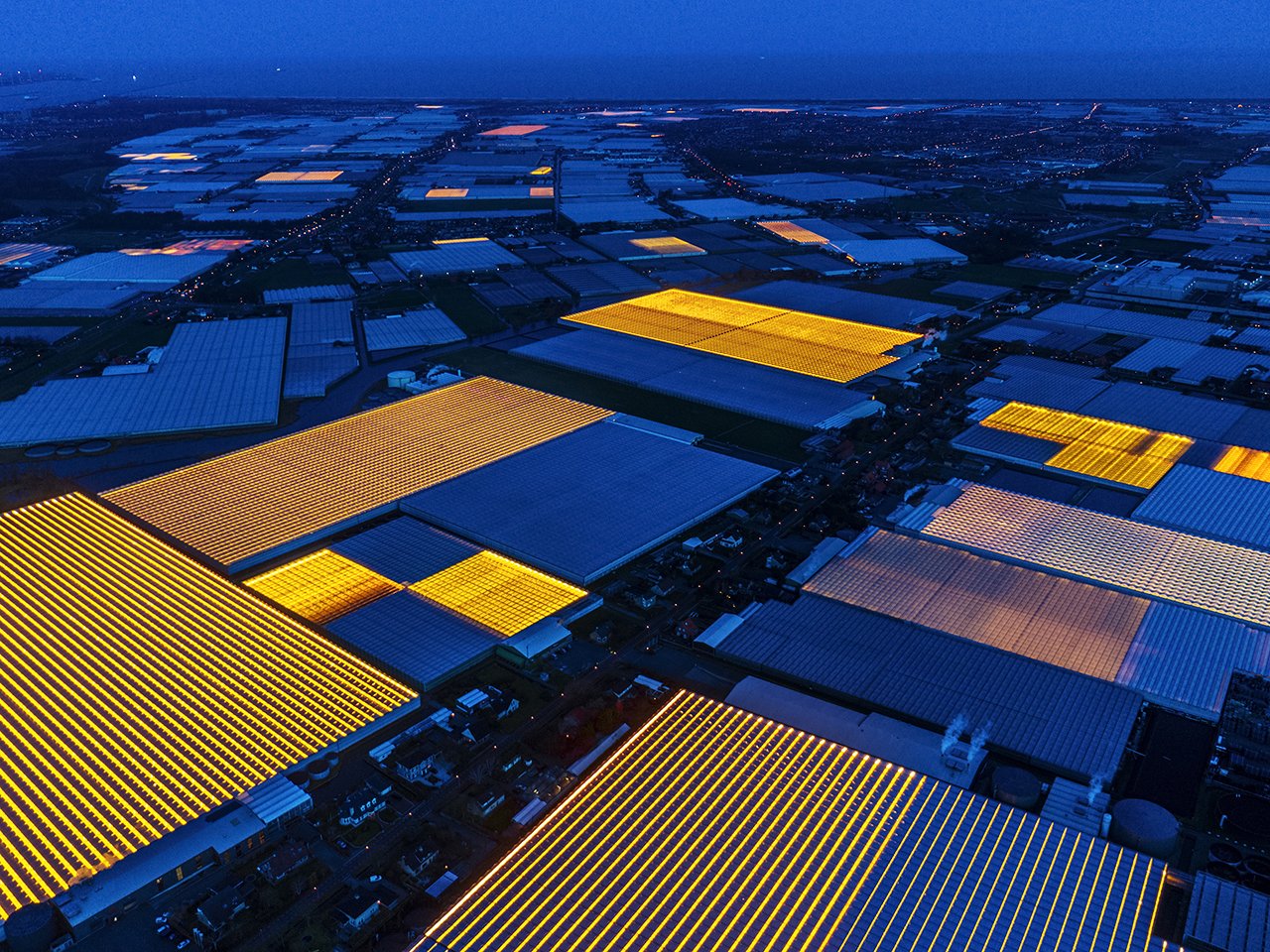 1280x960, 381 Kb / теплицы, нидерланды