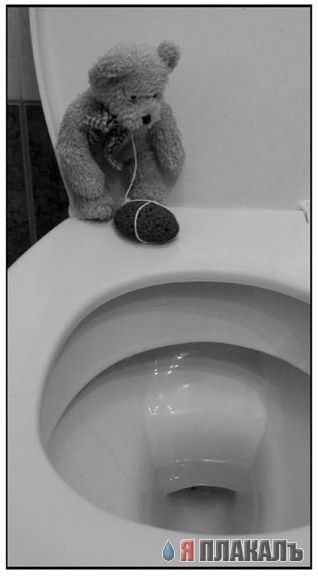 318x576, 23 Kb / суицид, унитаз, медведь
