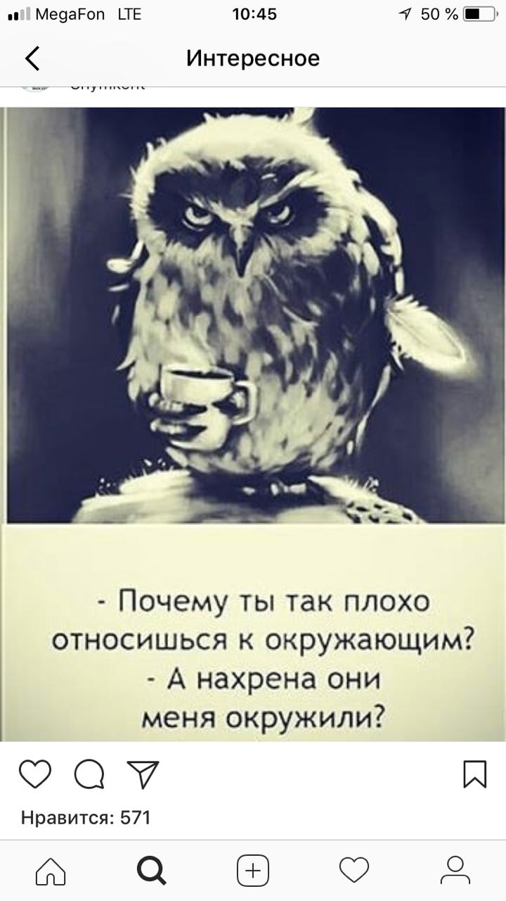 720x1280, 84 Kb / Сова, окружение