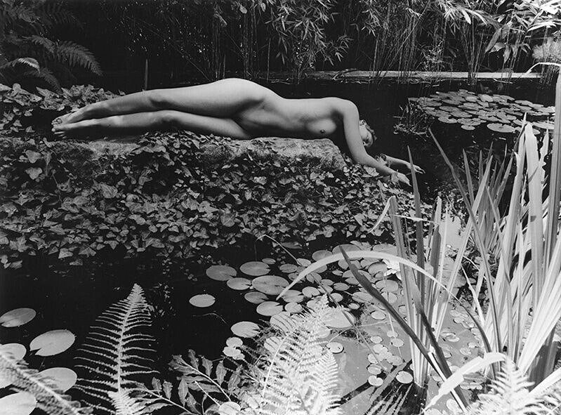 799x591, 550 Kb / пруд, берег, травы, растения, голая, ч/б